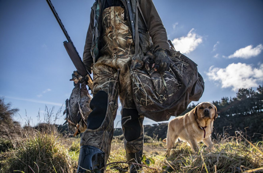 Both Barrels July 2022