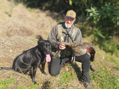 TBB1July2022. Curly McEwen and willow with a well grown Taranaki pheasant.