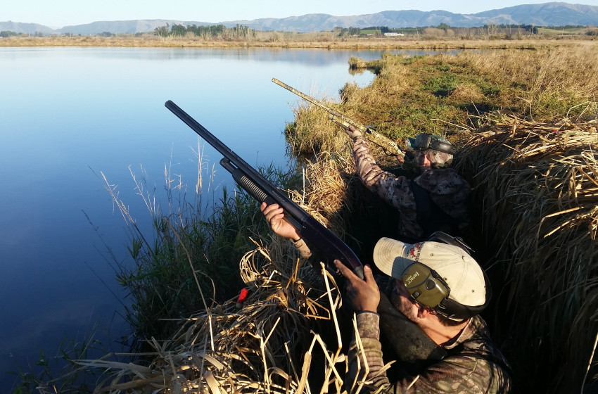 Central South Island Both Barrels June 2018