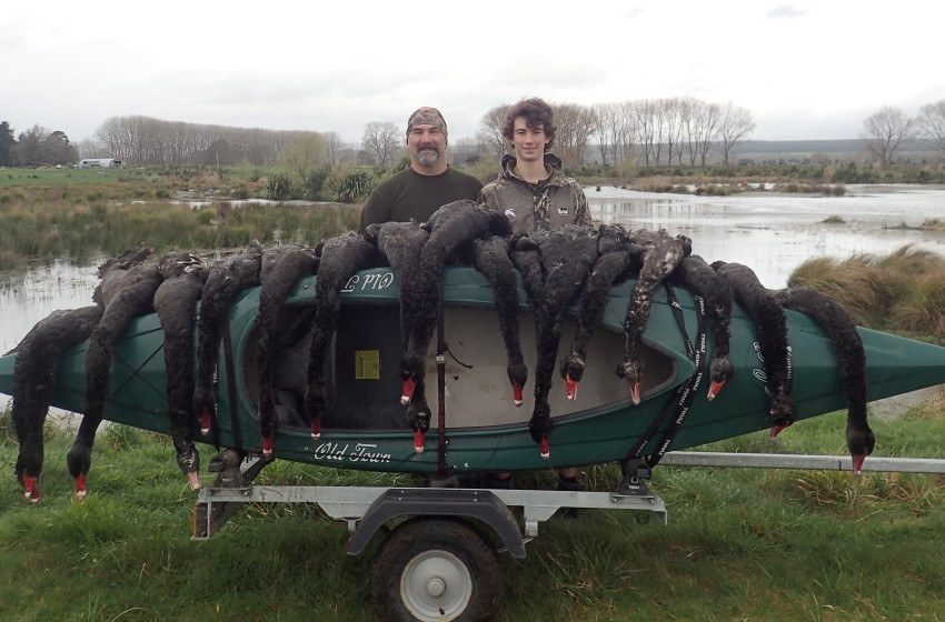 Eastern Both Barrels June 2018