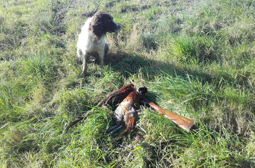 Hawke's Bay Both Barrels June 2018