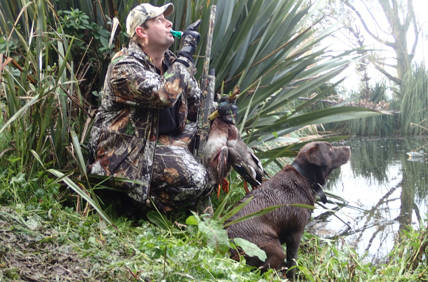 Auckland/Waikato Both Barrels June 2019