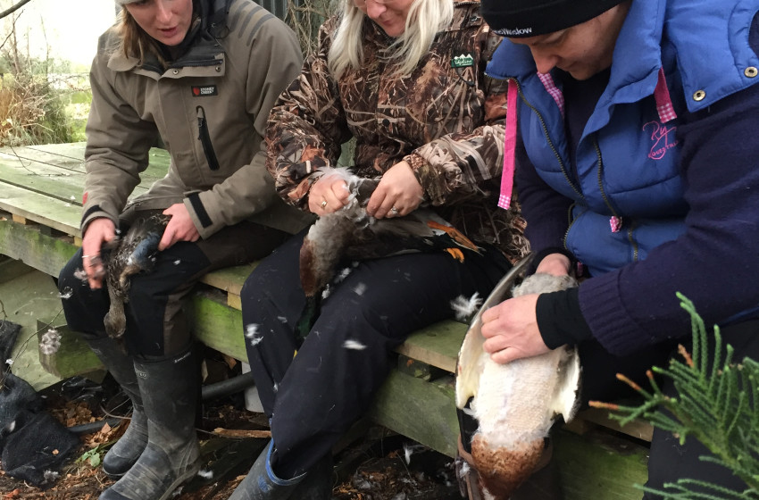 Southland Both Barrels June 2019