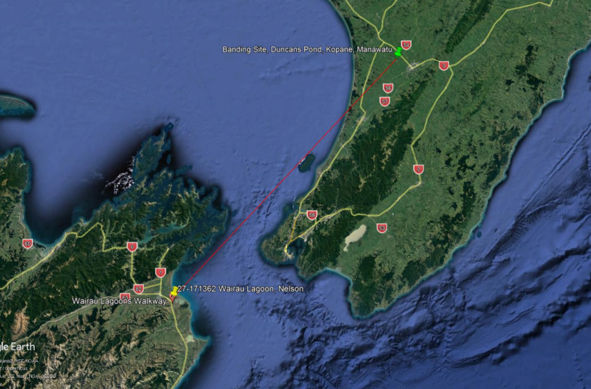 Nelson/Marlborough Both Barrels June 2019
