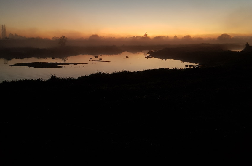 Both Barrels June 2020