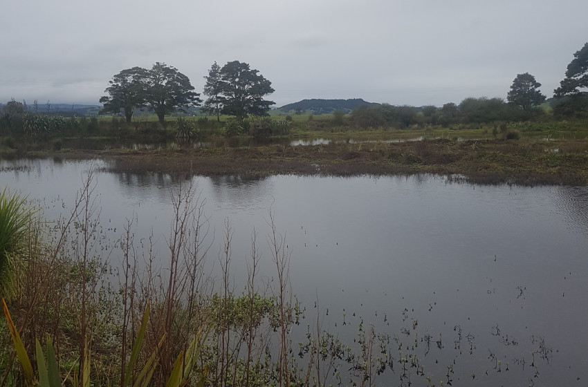 Both Barrels June 2020