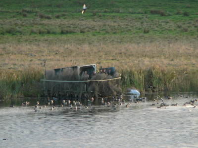 TBB1June2020. Hunters enjoy their opening morning at Lake Herengawe in the Waverley area.