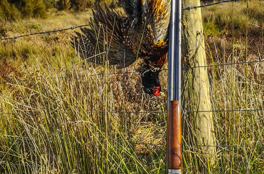 Both Barrels June 2021