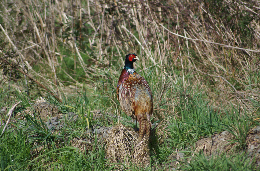 Both Barrels June 2021