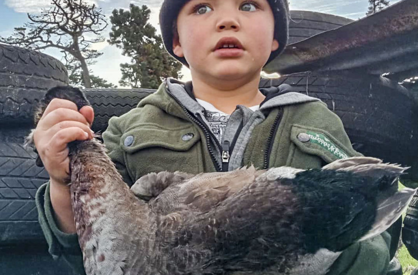 Both Barrels June 2022