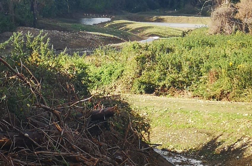 Both Barrels June 2022