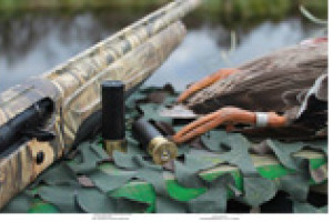 bb 3 Gun stuff Photo Ian McLeod