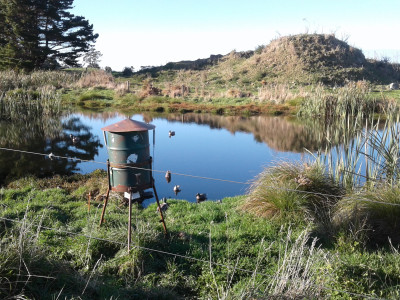 TBB1May19. The fine and calm conditions meant pond shooting was fairly slow on opening weekend
