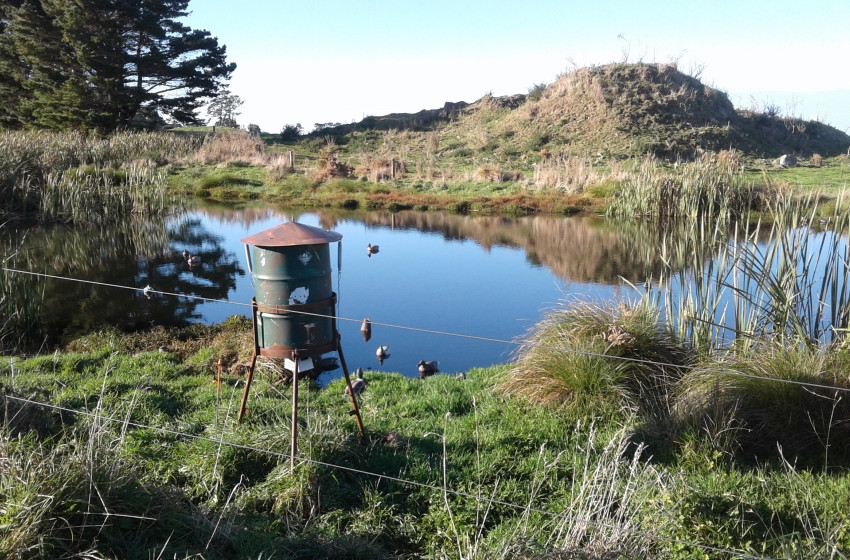 Taranaki Both Barrels May 2019