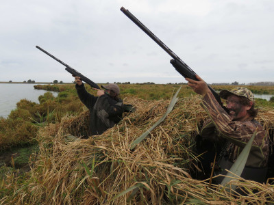 BB CSI 1 time to set your sights on the 2020 game bird season Credit Rhys Adams