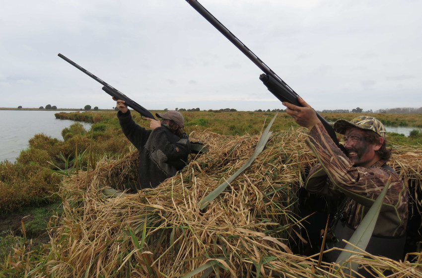 Both Barrels May 2020