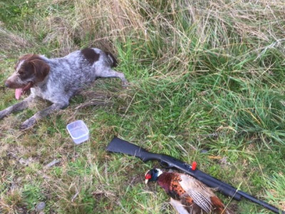 TBB1May2021. A successful opening day pheasant hunt photo Craig Munro