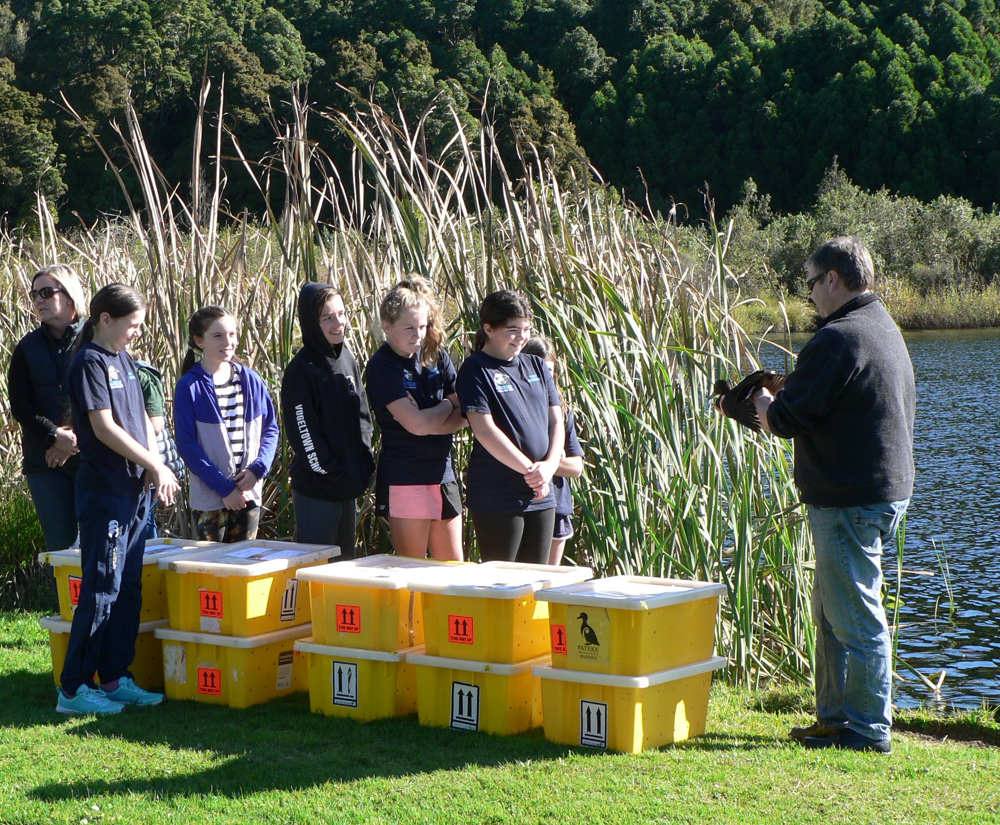 TBB3May2021. Volunteers getting ready to release 52 Pateke brown teal at Lake Rotokare on 13th May 2021.