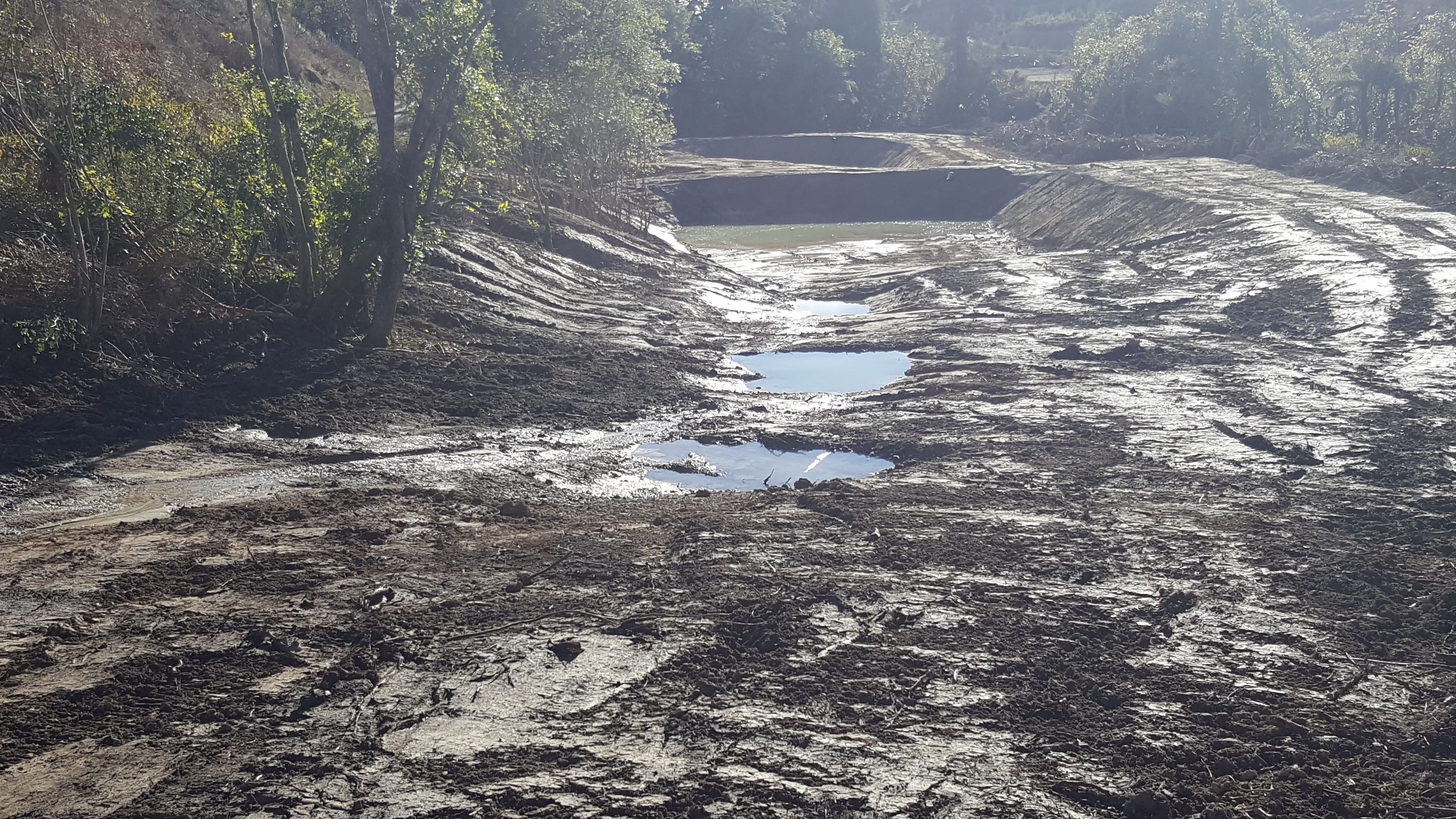 New Hunting Wetland