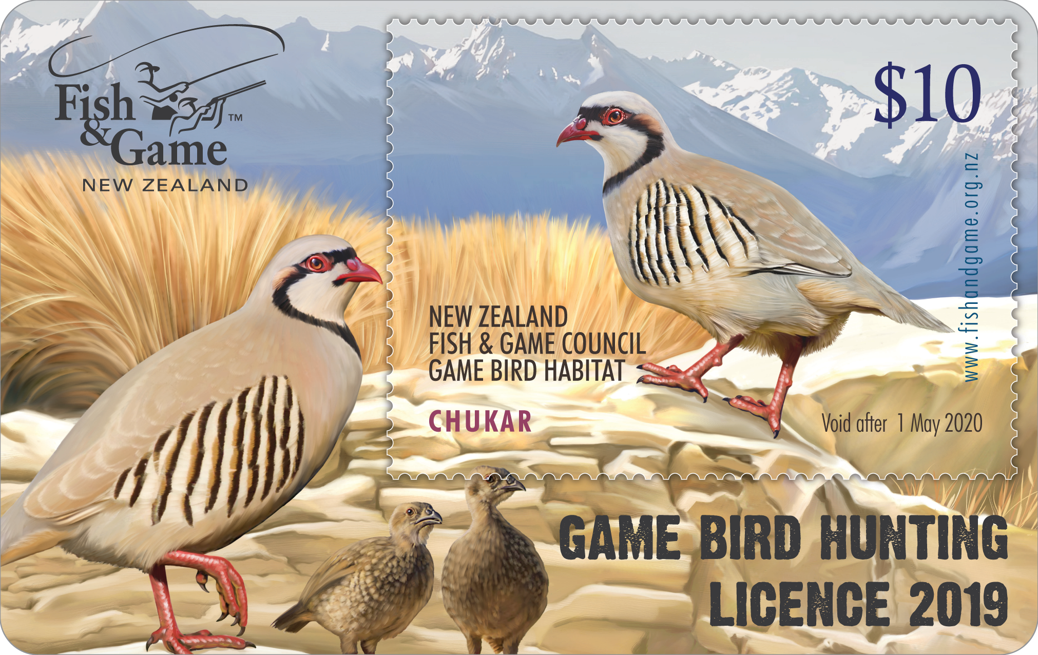 2019 Game Bird licence image7