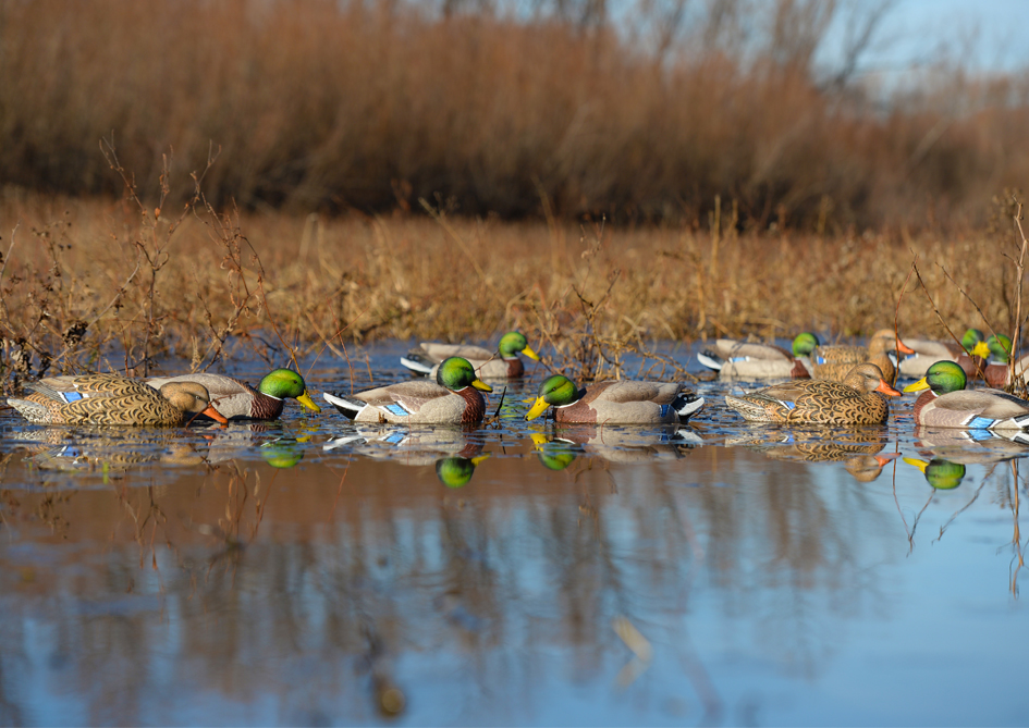 BT XD Pond Shot