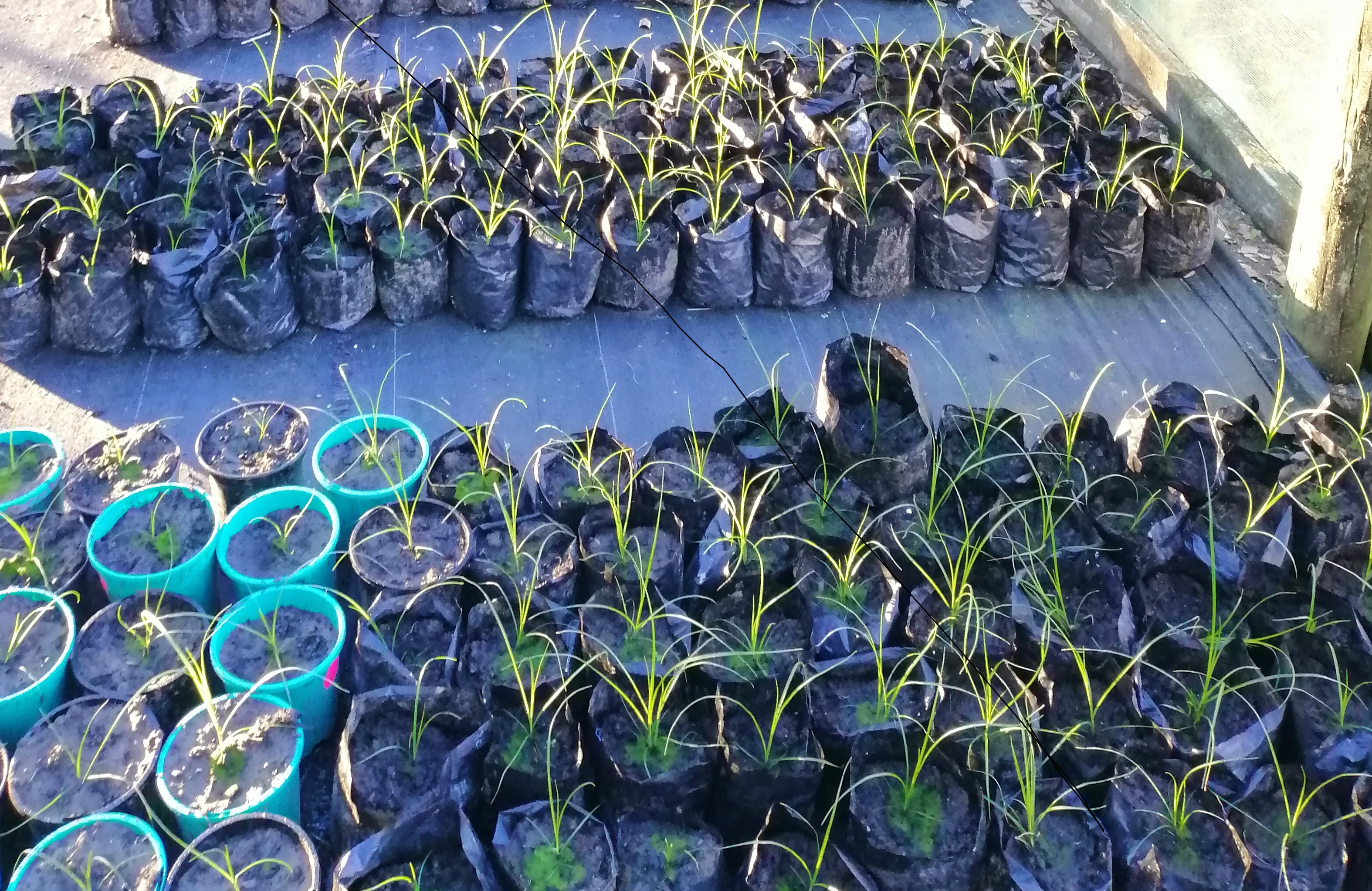 IMG 20190627 082217A