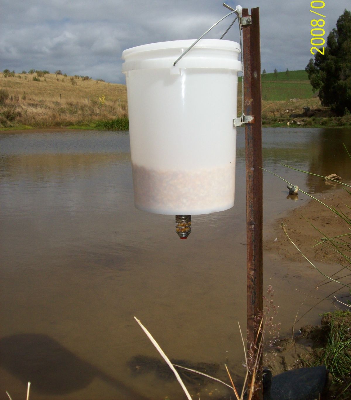 Pond feeding