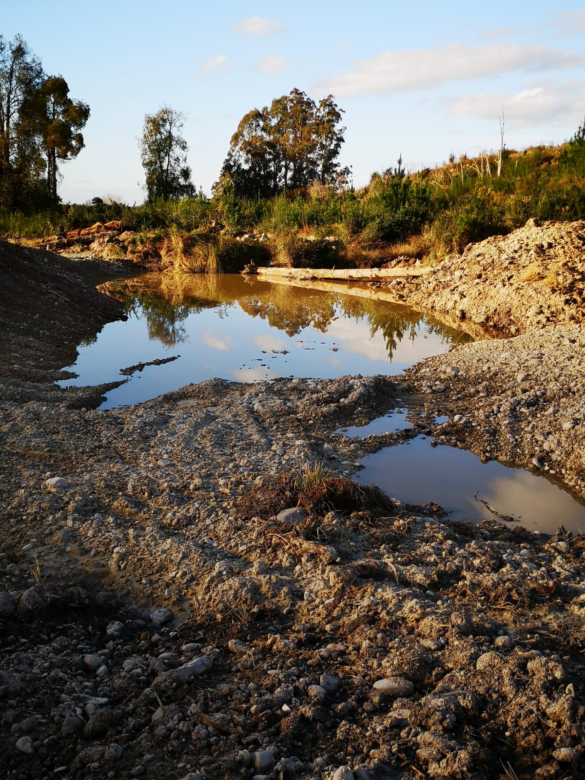 New Supplejack Pond