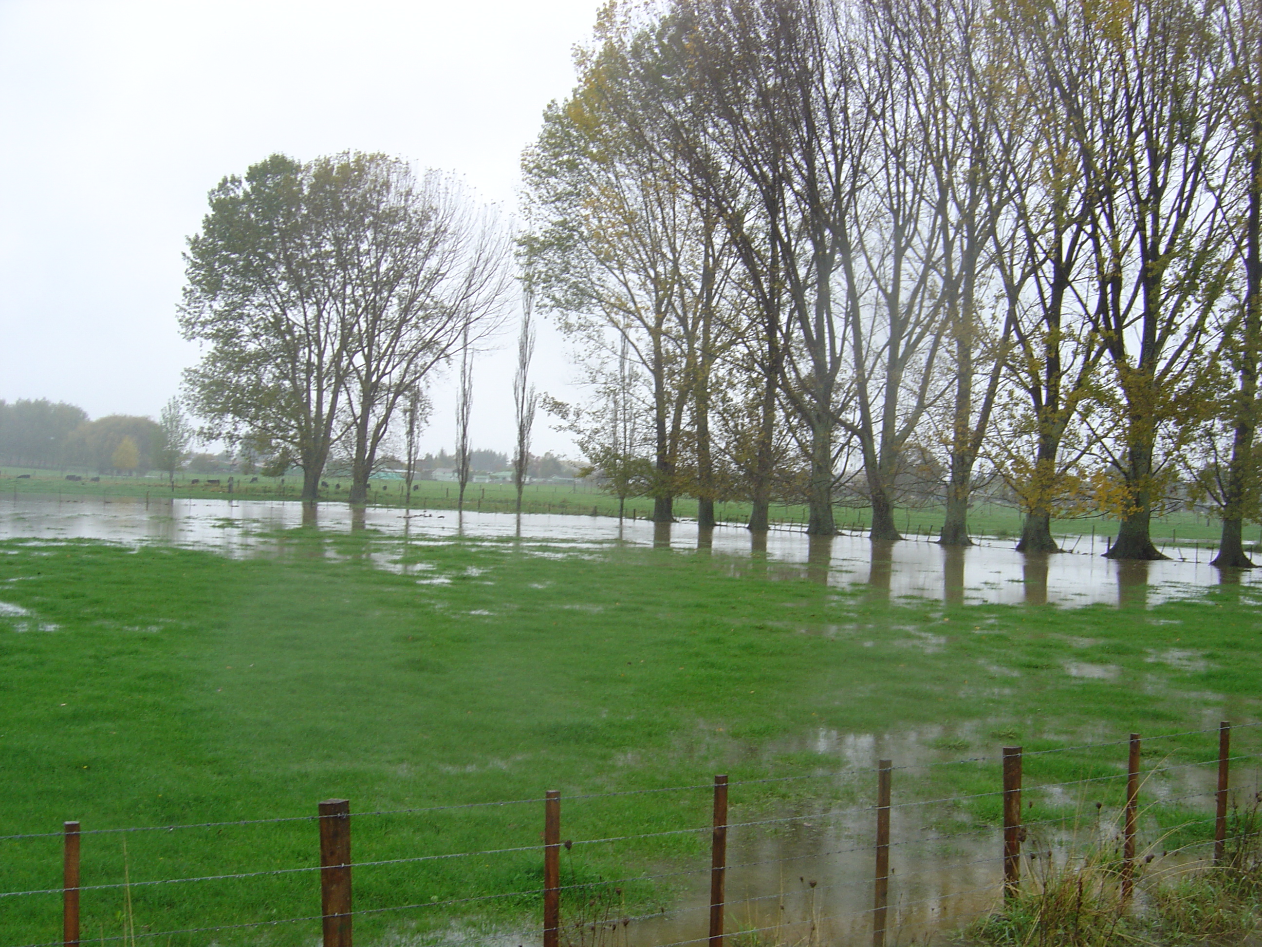 Flooded Paddocks