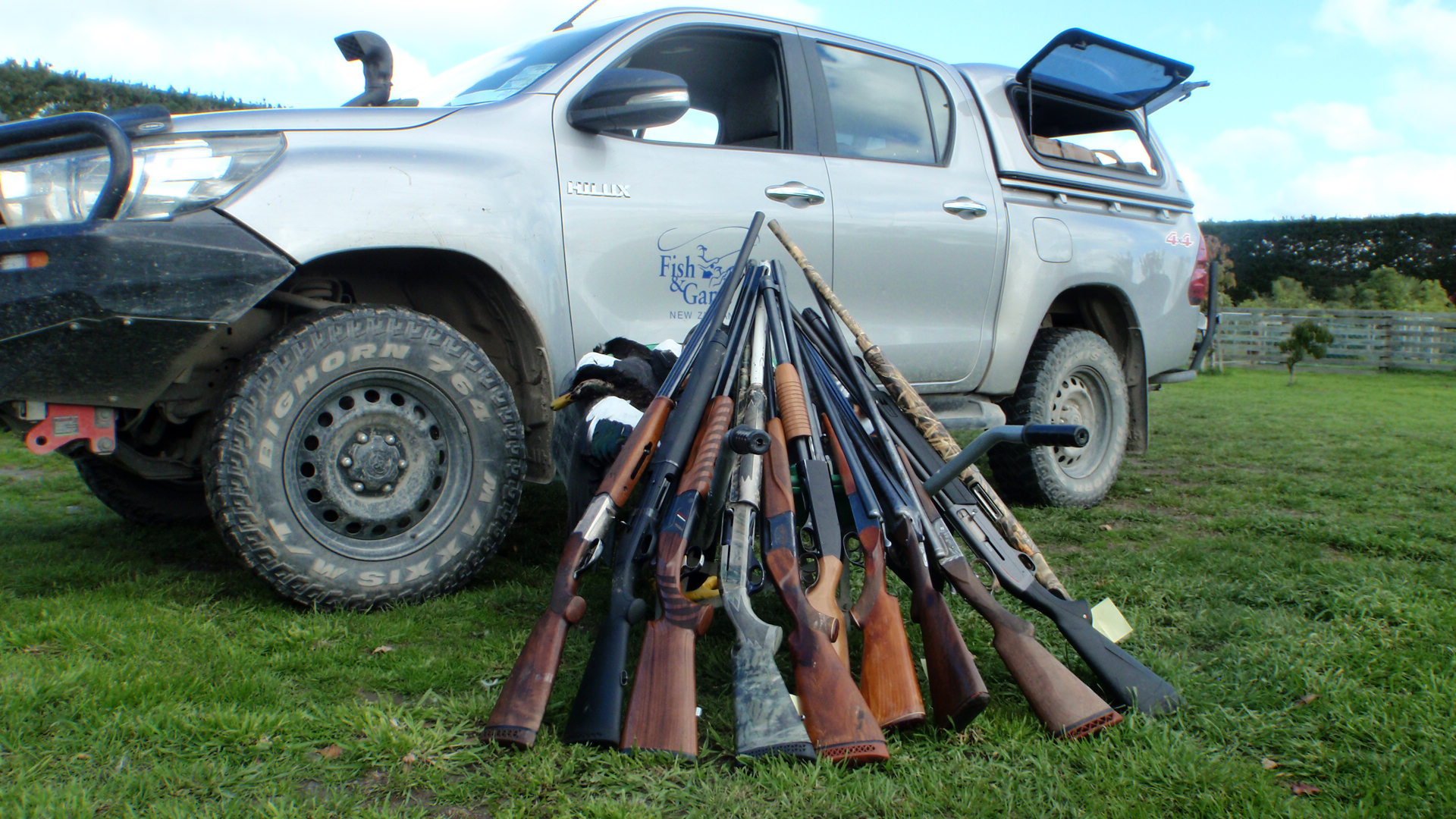 Confiscated guns 2017