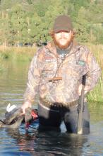 BB16May NC Ryton Black swan photo