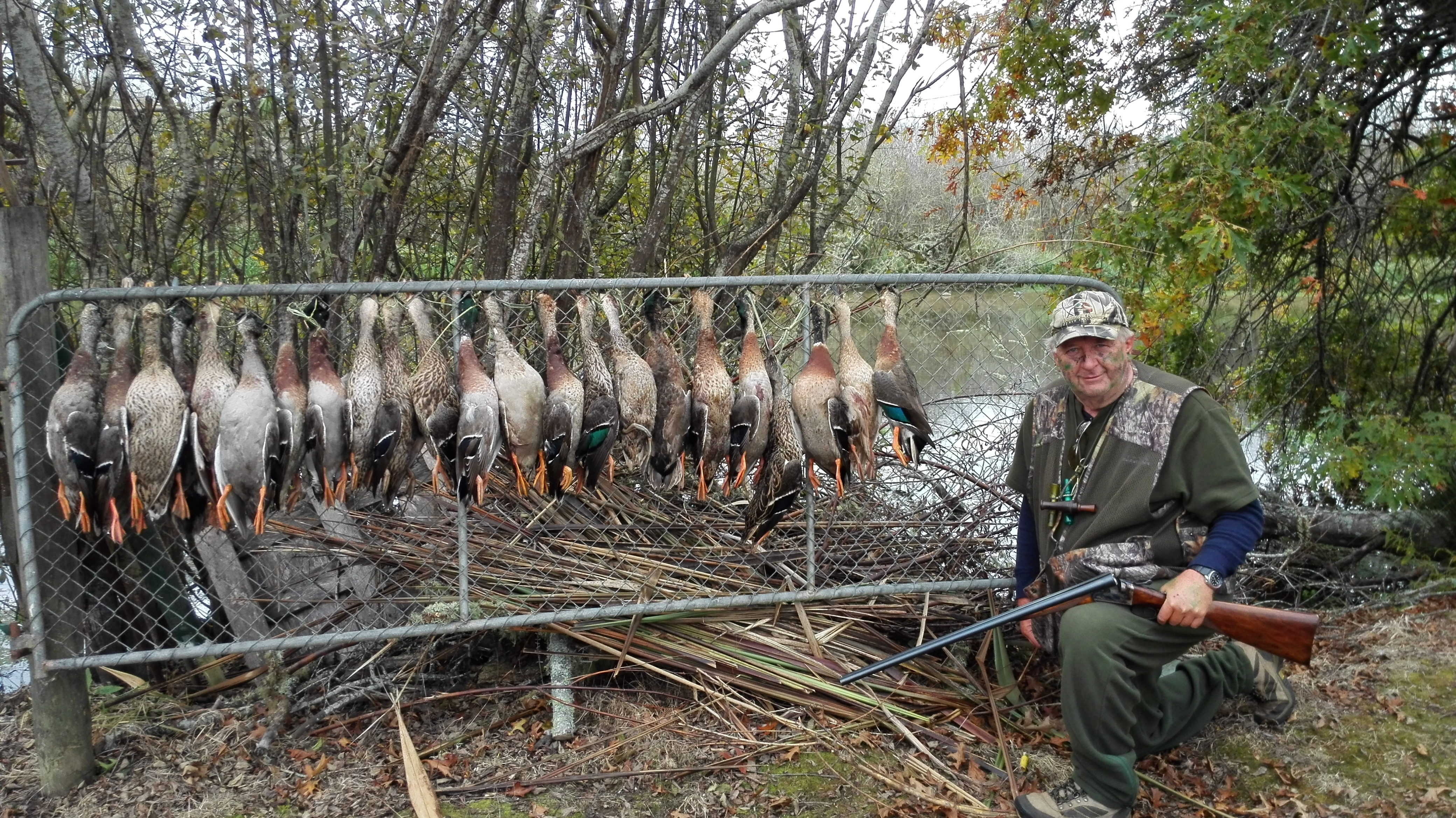 AW BB 1 Stefan Weston ducks 2018