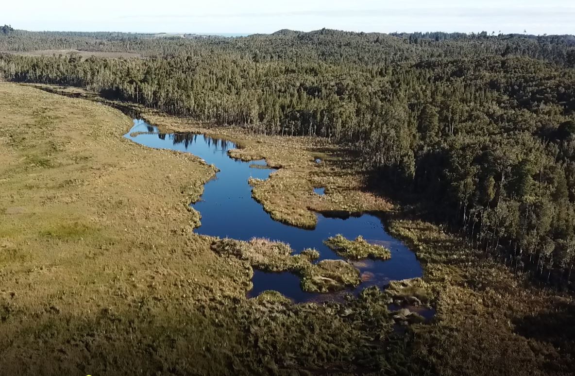 Remote Larger Waterbodies Are A Good Place to Hunt at Present