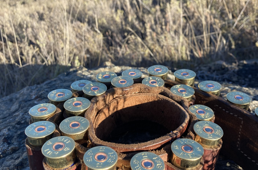 2022 Otago upland game bird season opens on May 29