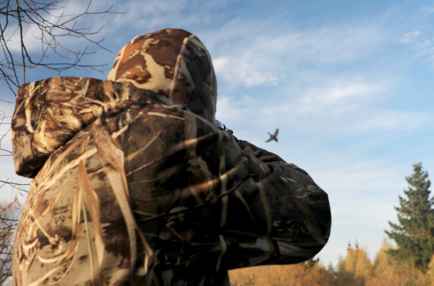 Biennial Game bird Regulations Review