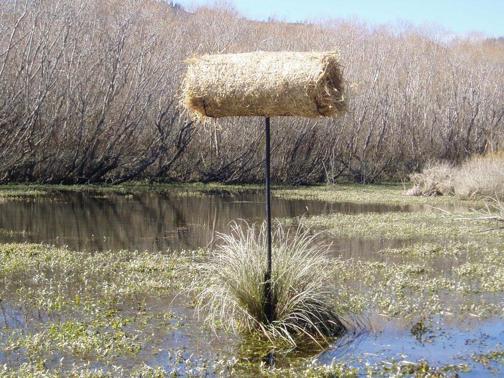 BB Welly Create your own nesting refuges