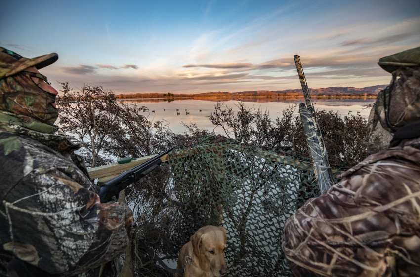 CSI Managed Wetlands hunting ballots open now