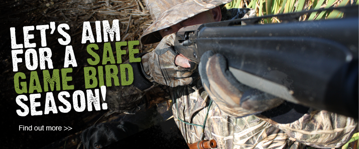 news 4 gamebirdsafety