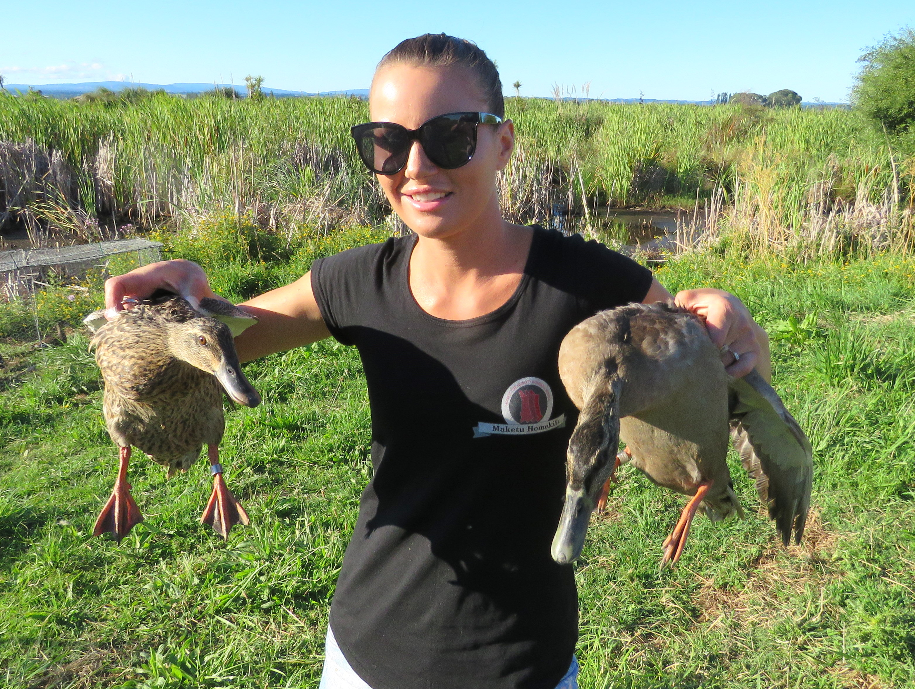 BANDING Volunteer Sarah Rankin from Maketu helps Fish Game officers band ducks.