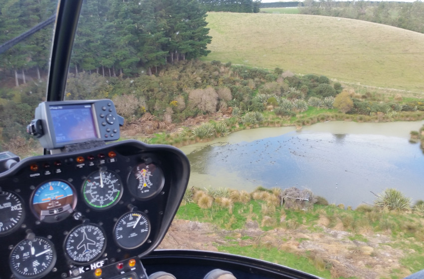 Fine start predicted to gamebird hunting season