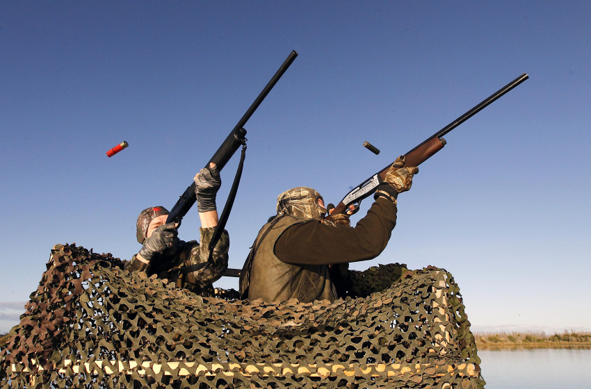 Fish & Game announces all duck hunters will have to use non-toxic shot from 2021