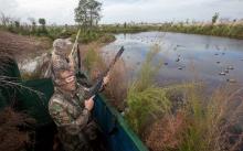 JTPIX Ducks 5026