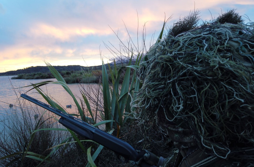 Game bird hunting bulletin 31 March 2020