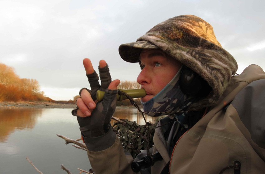 Game bird hunting licences now on sale