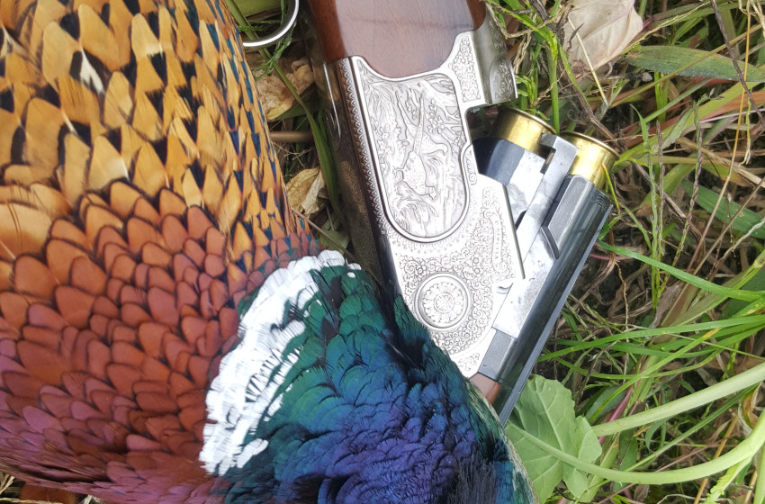 Hawke's Bay Game Bird Newsletter 2018
