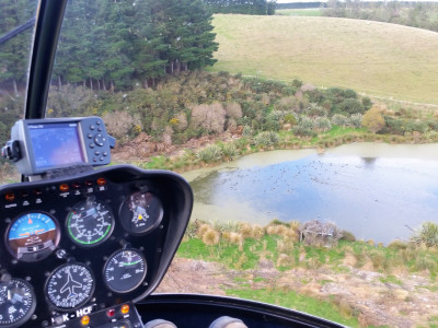 Mallard monitoring image edit 2