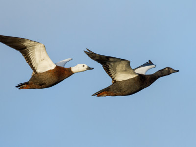 Matt Winter WInning photo