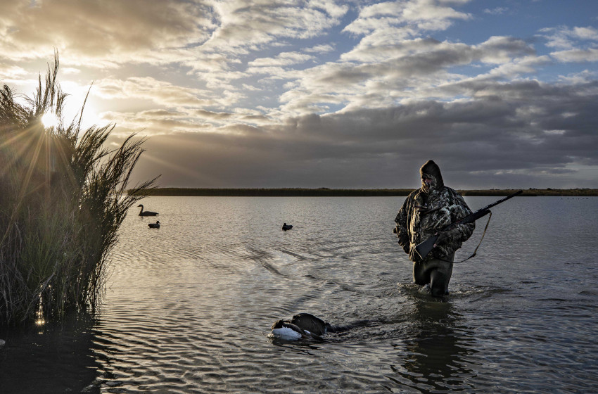 Quacker of a morning greets duck hunters