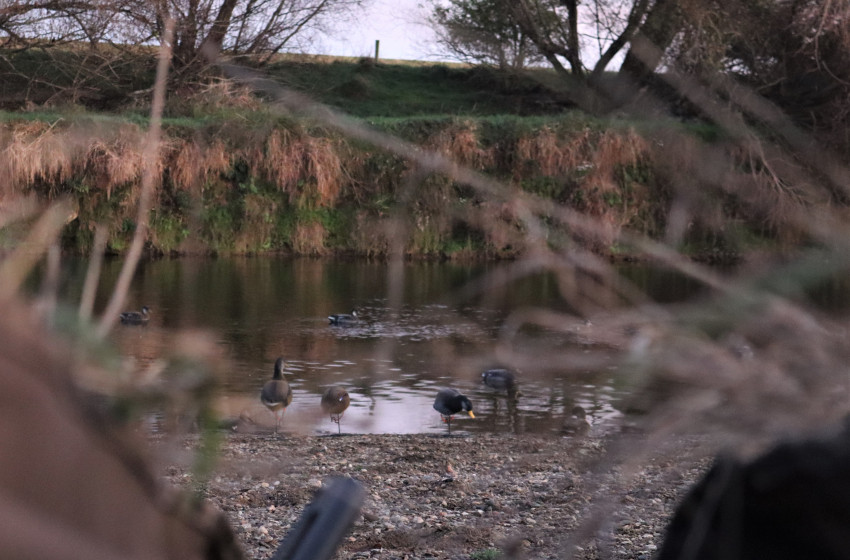 Secrets for Setting Decoys