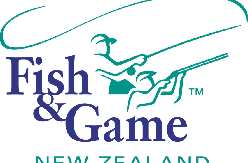Urgent investigation into Hawke’s Bay pheasant dumping
